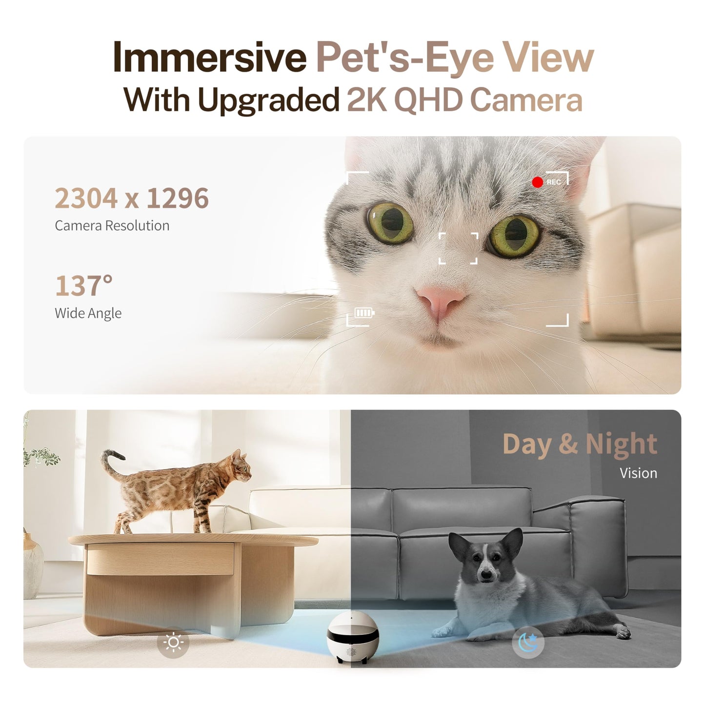 Enabot EBO ROLA Mini Pet Camera Robot: 2K FamilyBot Mobile Home Companion