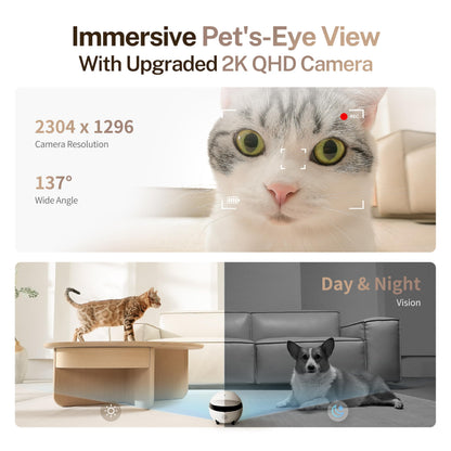 Enabot EBO ROLA Mini Pet Camera Robot: 2K FamilyBot Mobile Home Companion