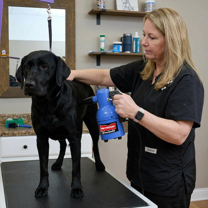 Portable High-Velocity Pet Grooming Dryer for Dogs