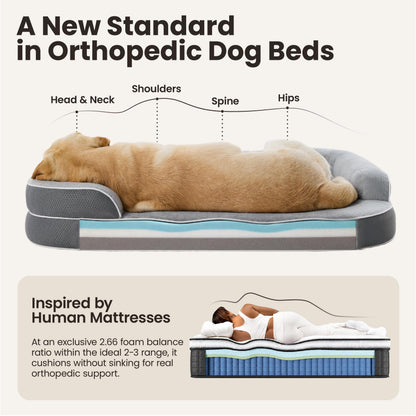 3-Layer Memory Foam Orthopedic Dog Bed with Washable Cover
