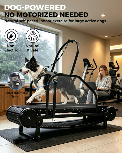 HSAUPI Dog Treadmill with Foot Brake, Non-Motorized for Large Dogs