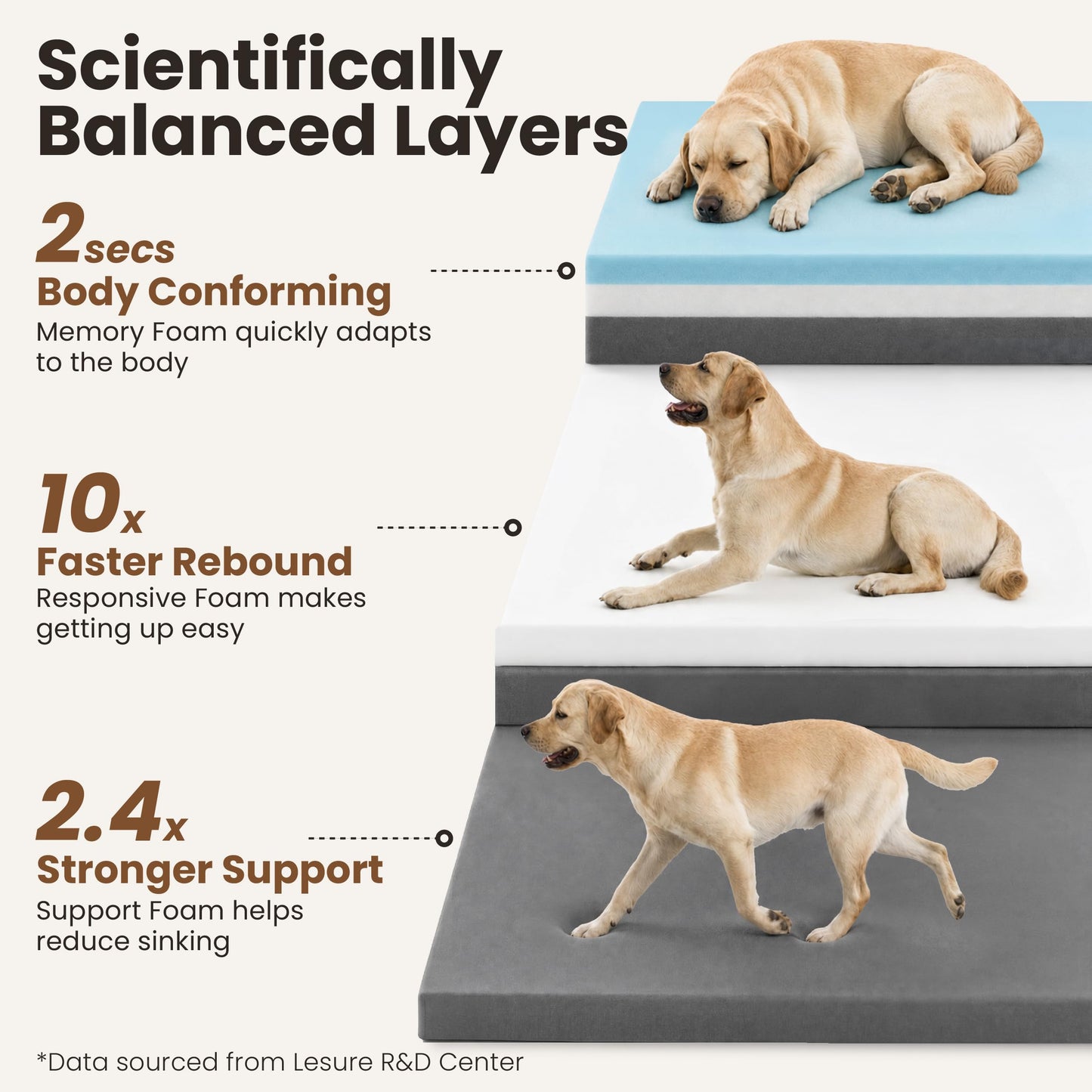 3-Layer Memory Foam Orthopedic Dog Bed with Washable Cover
