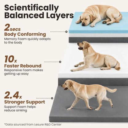 3-Layer Memory Foam Orthopedic Dog Bed with Washable Cover