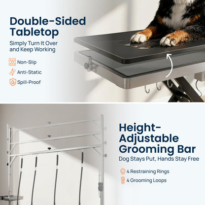 Professional Electric Height-Adjustable Dog Grooming Table