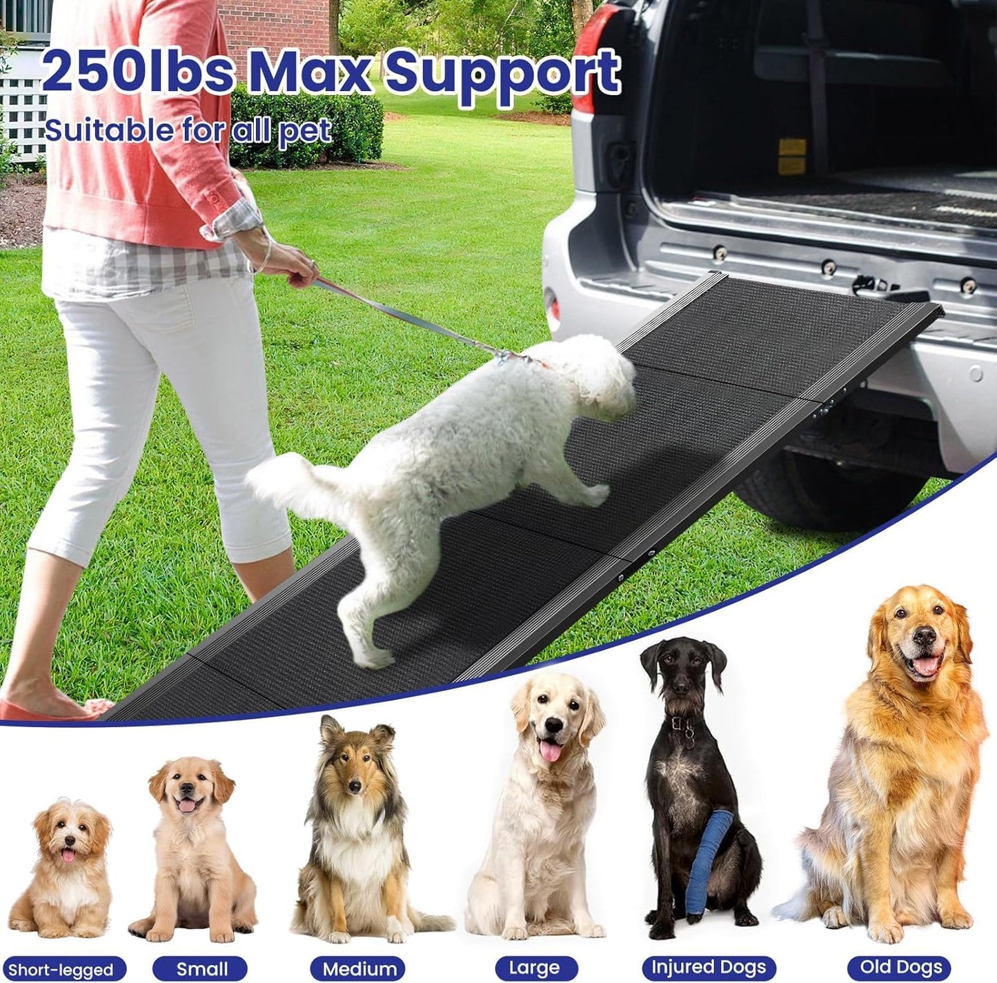 Parent Dog Ramps for Large Pets, Car