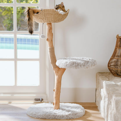 Modern Real Wood Cat Tree Tower with Condo and Climbing Branch