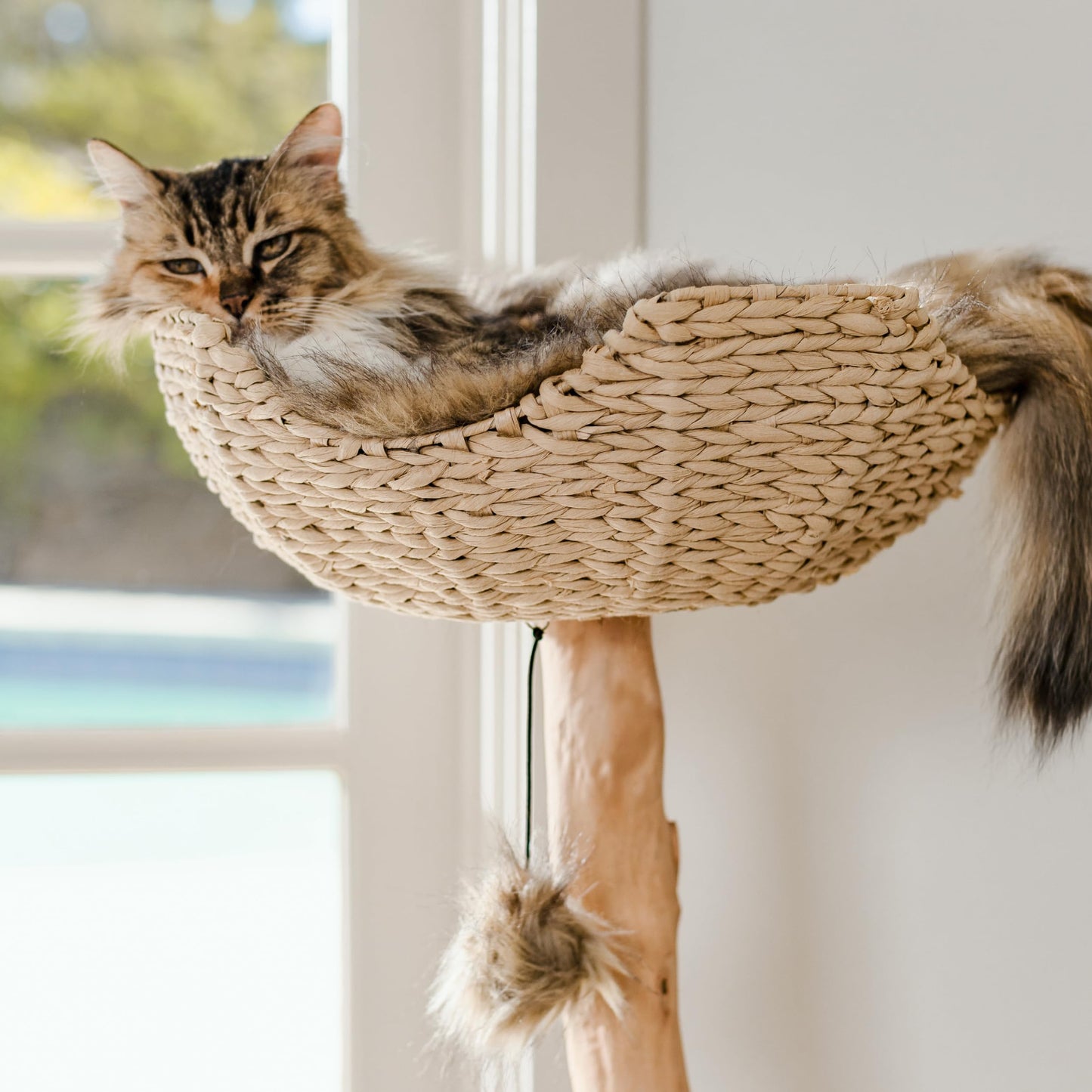 Luxury Real Wood Cat Tree Tower for Large Cats with Condo