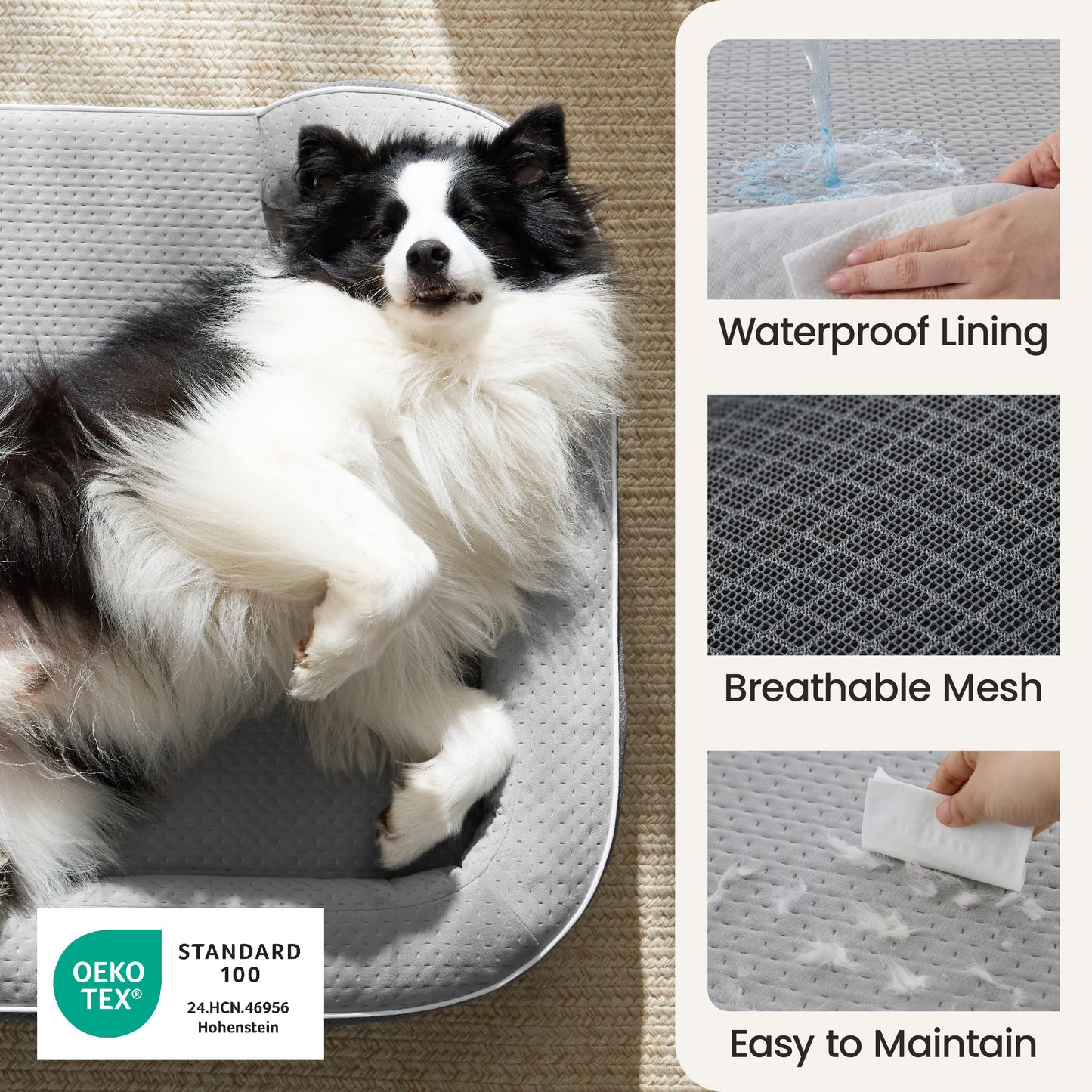 3-Layer Memory Foam Orthopedic Dog Bed with Washable Cover