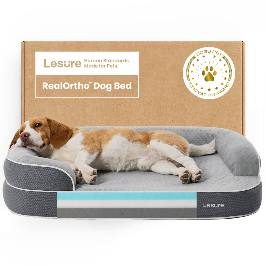 3-Layer Memory Foam Orthopedic Dog Bed with Washable Cover